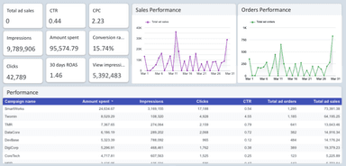 Amazon Ads - Orders and Sales Analytical Report