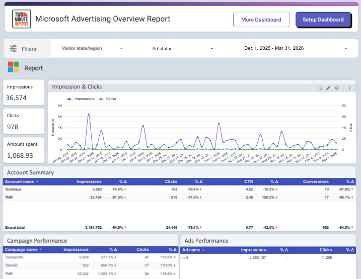 Microsoft Advertising Overview Report