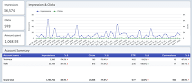 Microsoft Advertising Overview Report