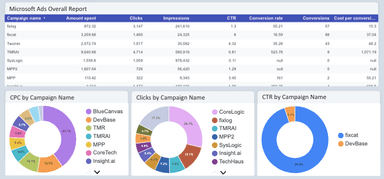Microsoft Ads Overall Report