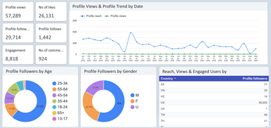 Instagram Insights Dashboard
