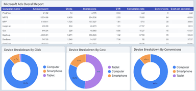 Microsoft Ads Overview Report