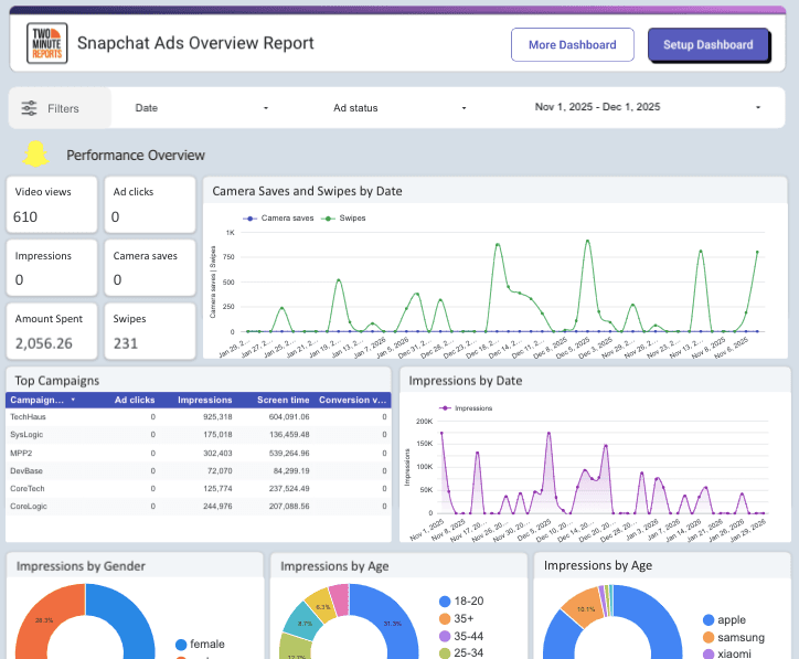 Snapchat Ads Overview Report