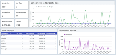 Snapchat Ads Overview Report