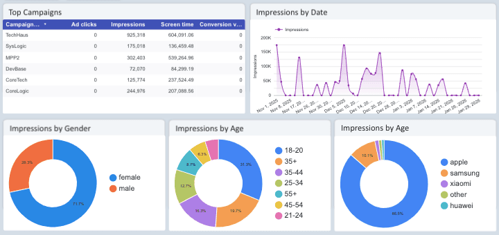 Snapchat Ads Overview Report