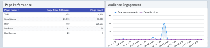 Facebook Page Insights Performance Overview Report