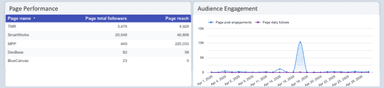 Facebook Page Insights Performance Overview Report