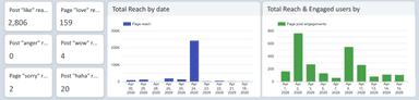 Facebook Insights Monitoring Report