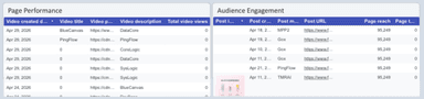 Facebook Insights Monitoring Report
