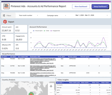Pinterest Ads - Accounts & Ad Performance Report