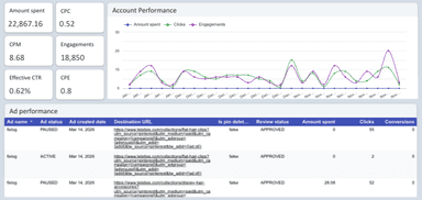 Pinterest Ads - Accounts & Ad Performance Report