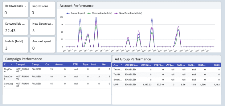 Apple Search Ads Overall Performance Report