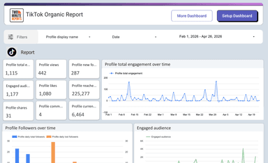 TikTok Organic Report Dashboard