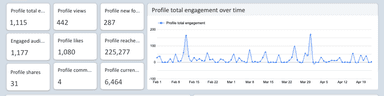 TikTok Organic Report Dashboard