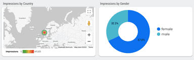 Snapchat Ads Overview Report