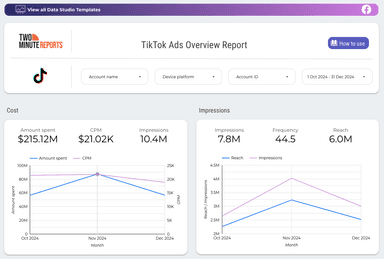 TikTok Ads Overview Report