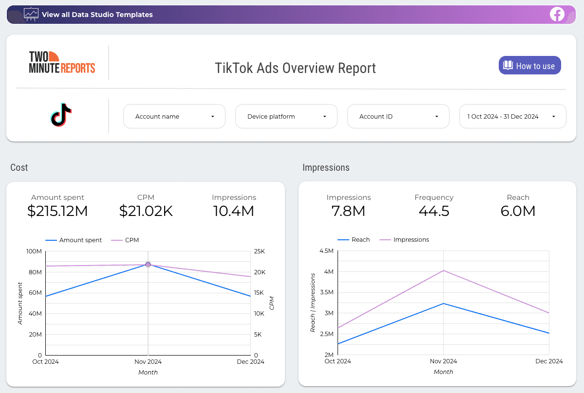 TikTok Ads Overview Report