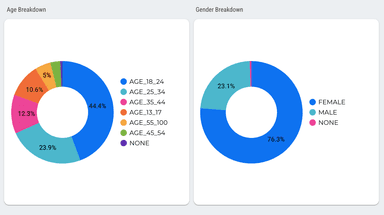 TikTok Ads Overview Report