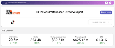 TikTok Ads Performance Overview Report