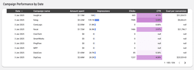 TikTok Ads Performance Overview Report