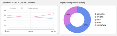 TikTok Ads Performance Overview Report