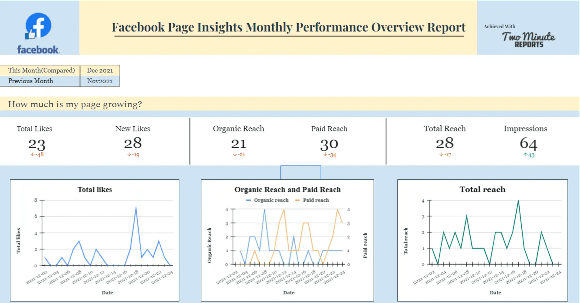 Facebook Page Insights Client report