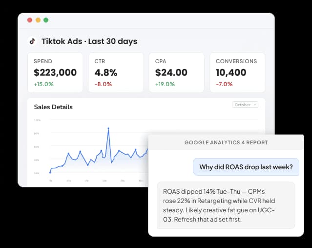 TikTok Ads Reporting Tool For Marketer and Agencies