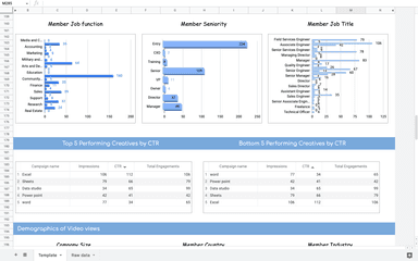 LinkedIn Ads Campaign Performance 