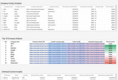 HubSpot - Company and User in depth Analytical Report