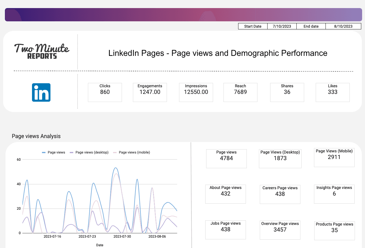 LinkedIn Pages - Page views and Demographic Performance 