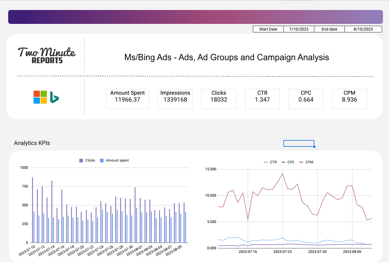 Microsoft/Bing Ads - Campaign and Ad Analysis Report