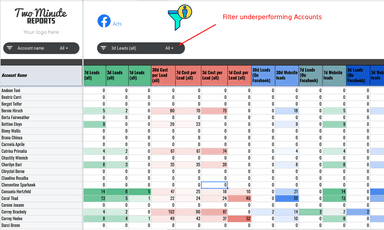 Monitor Leads Performance for Multiple Accounts