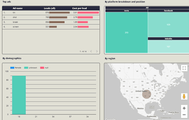 Facebook Ads Lead generation report by - lead gen performance,platform breakdown & position, demographics and region