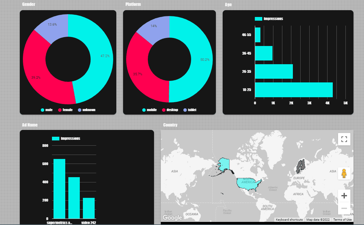 TikTok Ads Overview - Campaign and audience info