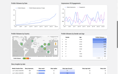 Instagram Insights Monitoring Report