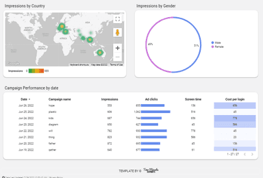 Snapchat Ads Overview Report