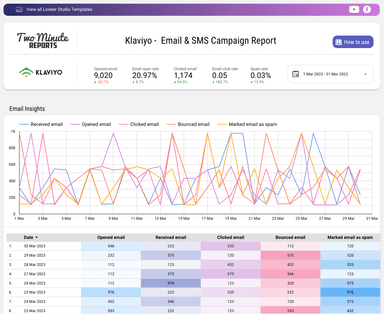 Klaviyo - Email & SMS Campaign Report