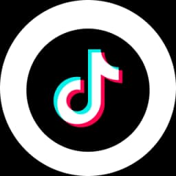 TikTok Organic