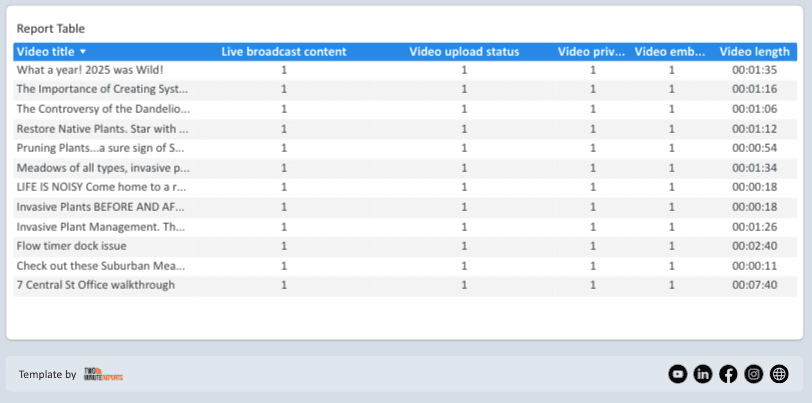 Youtube Insights - Video Performance and Insights