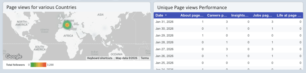 LinkedIn Pages - Unique & Lifetime Metrics Performance Report
