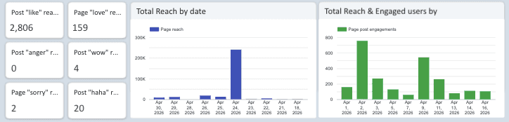Facebook Insights Monitoring Report
