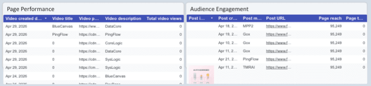 Facebook Insights Monitoring Report