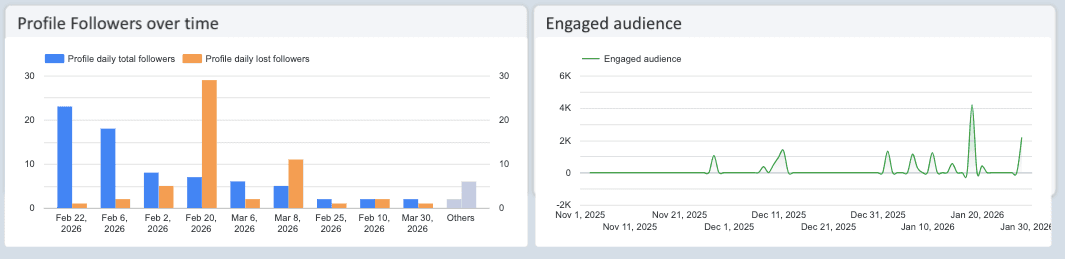 TikTok Organic Report Dashboard