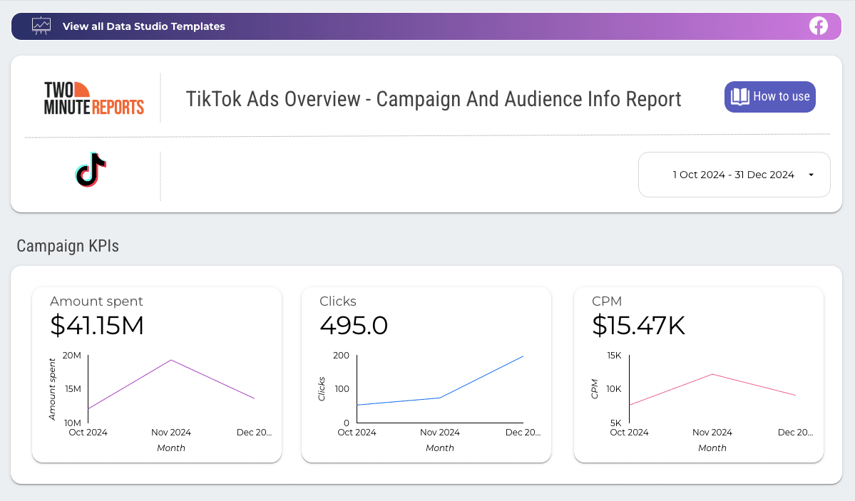 TikTok Ads Overview - Campaign And Audience Info Report