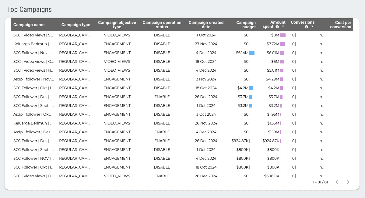 TikTok Ads Overview - Campaign And Audience Info Report