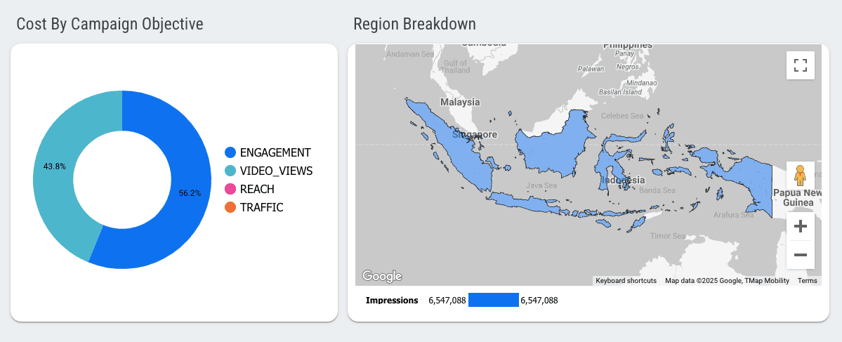 TikTok Ads Overview - Campaign And Audience Info Report