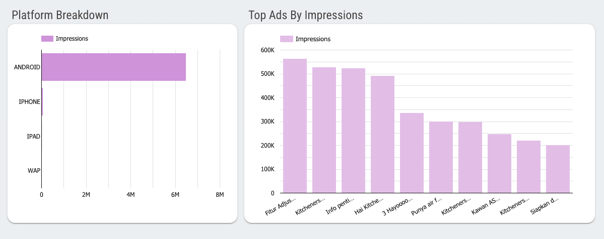 TikTok Ads Overview - Campaign And Audience Info Report